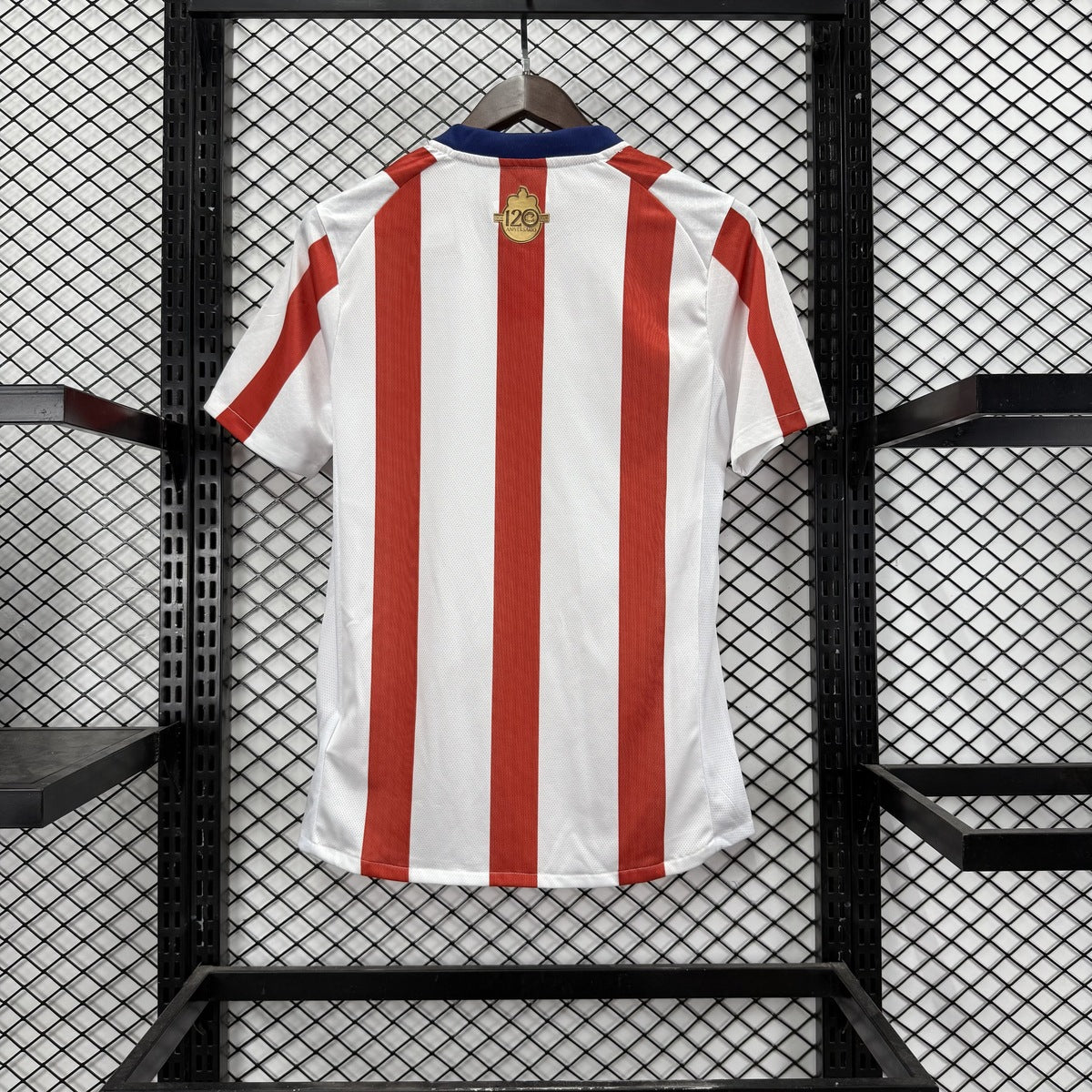 Jersey Chivas Guadalajara 2025-26 Edición Especial blanco, foto 3 de 13