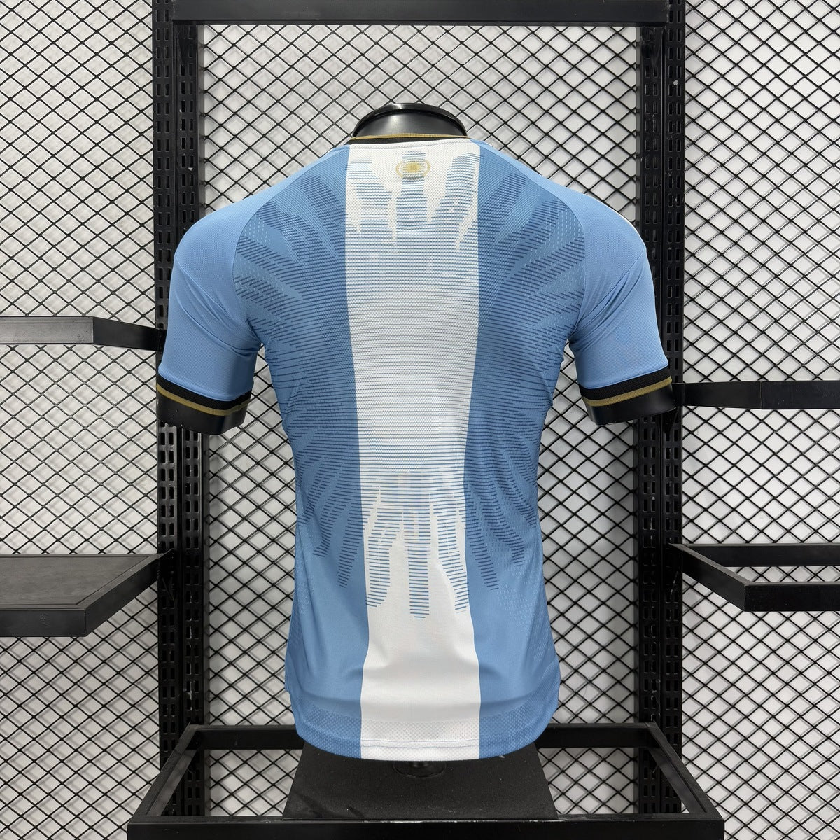 Jersey Argentina 2026 Edición Especial Despedida Messi azul, foto 10 de 10