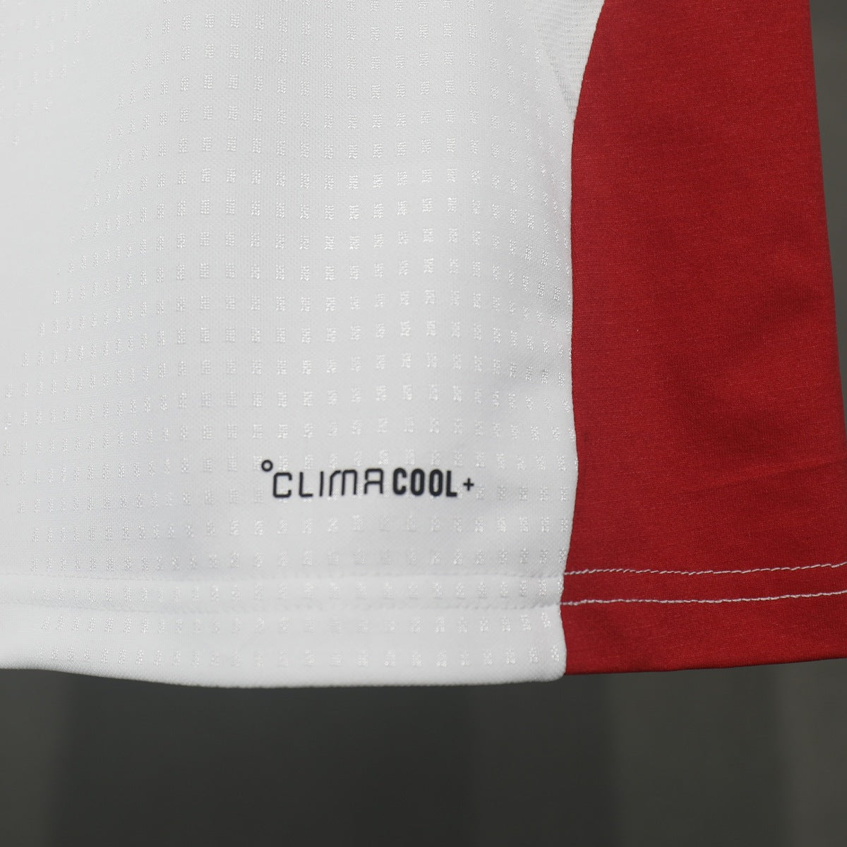 Playera de Entrenamiento Alemania adidas 2026 Blanca blanco, foto 5 de 8
