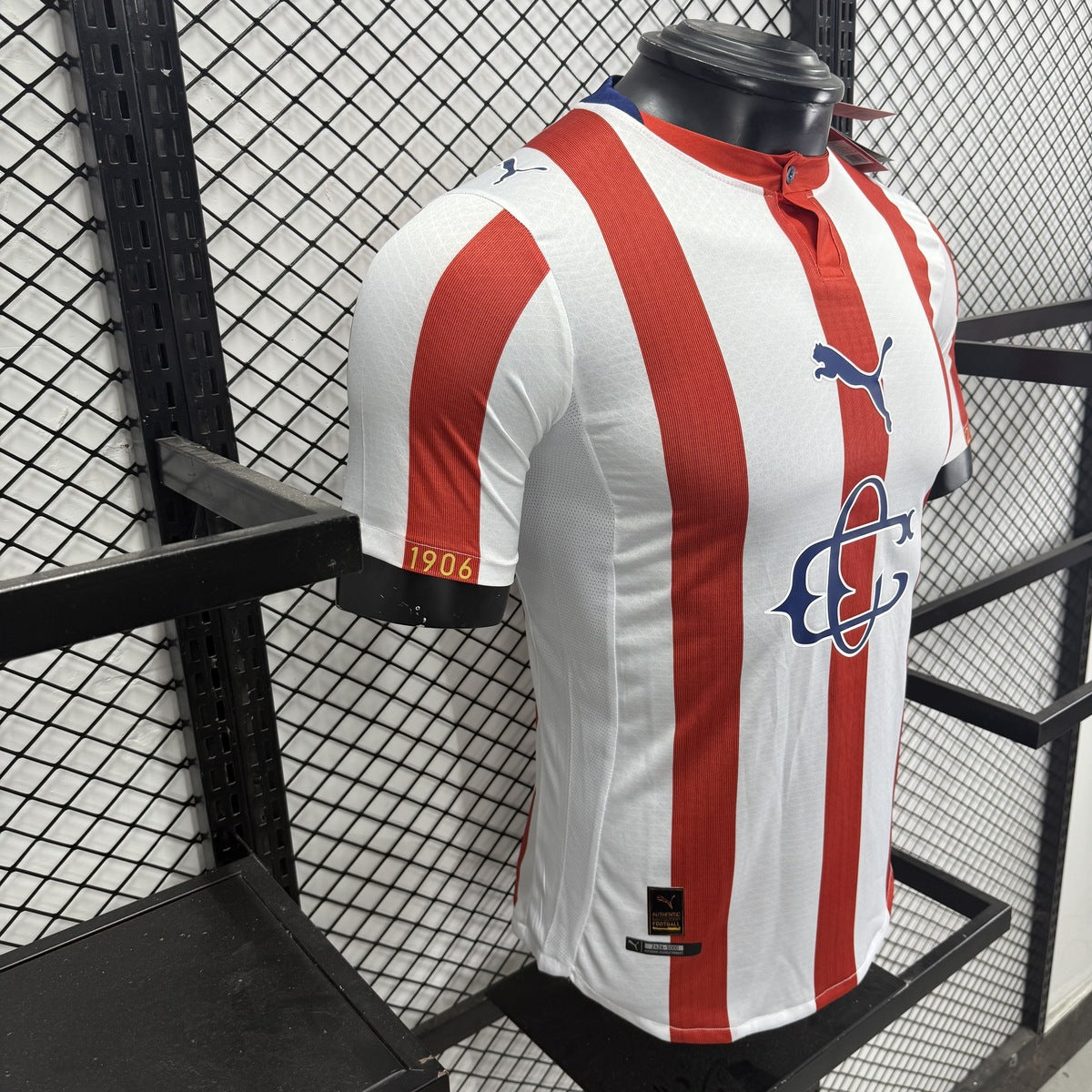 Jersey Chivas Guadalajara 2025-26 Edición Especial blanco, foto 11 de 13
