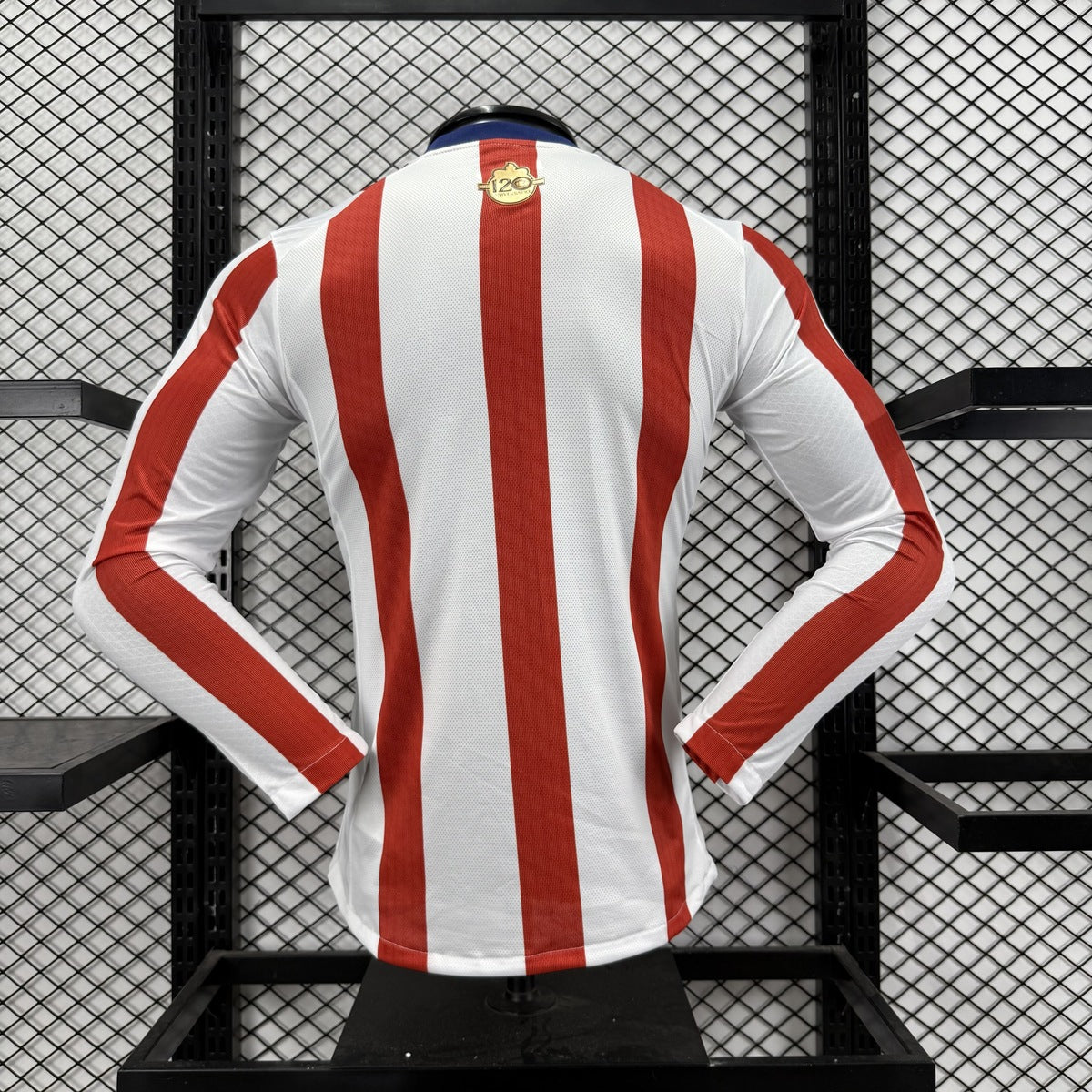Jersey Chivas Guadalajara 2025-26 Edición Especial blanco, foto 13 de 13