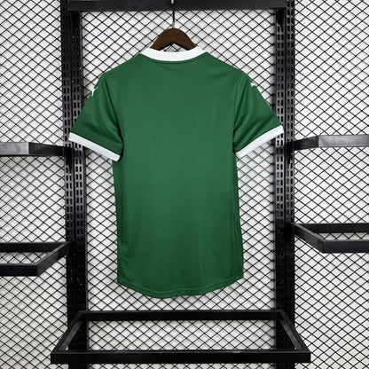 Jersey Palmeiras 2025-26 Local verde, foto 2 de 11