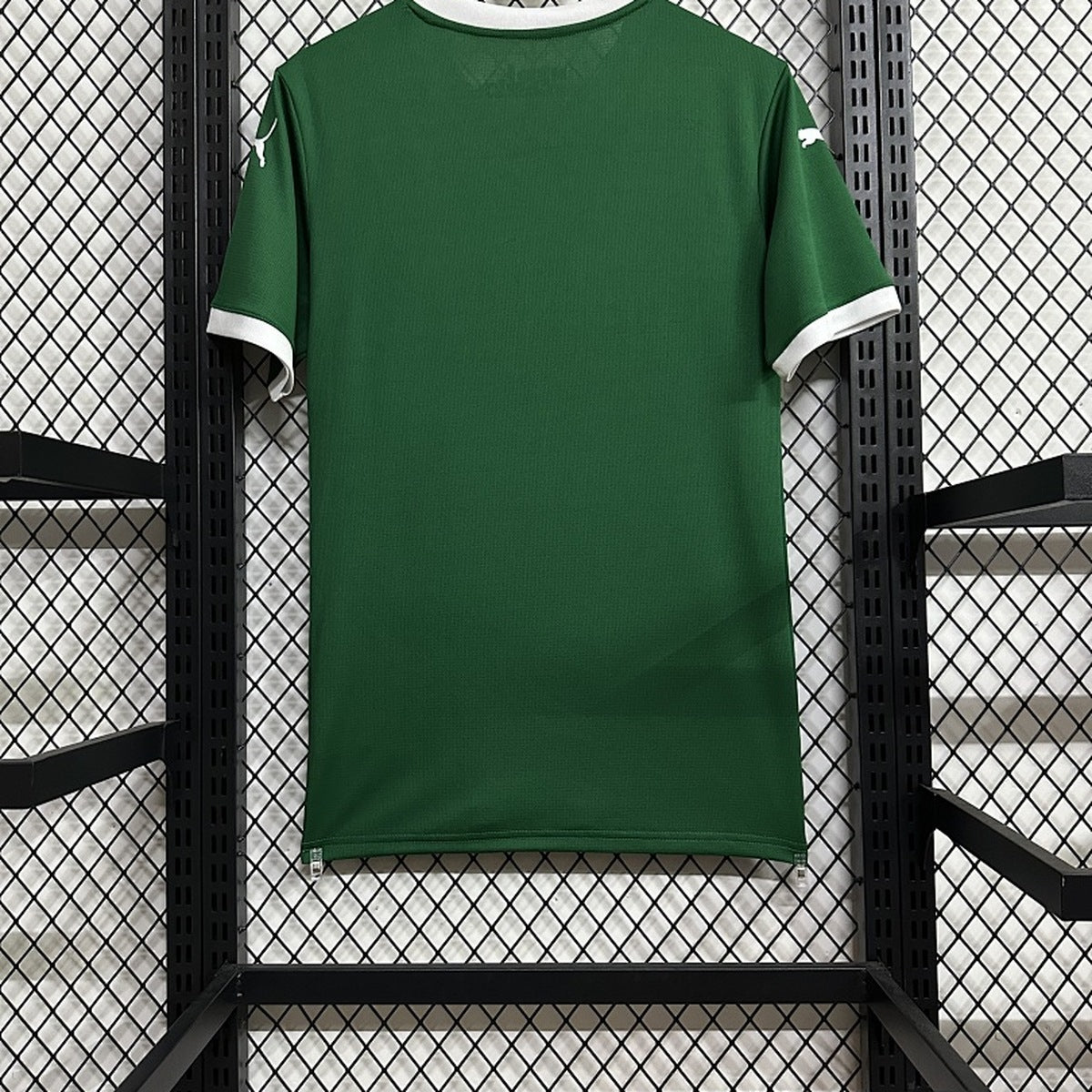 Jersey Palmeiras 2025-26 Local verde, foto 2 de 6