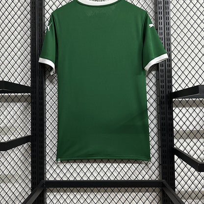 Jersey Palmeiras 2025-26 Local verde, foto 2 de 6