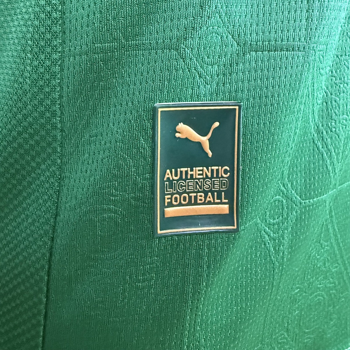 Jersey Palmeiras 2025-26 Local verde, foto 4 de 11