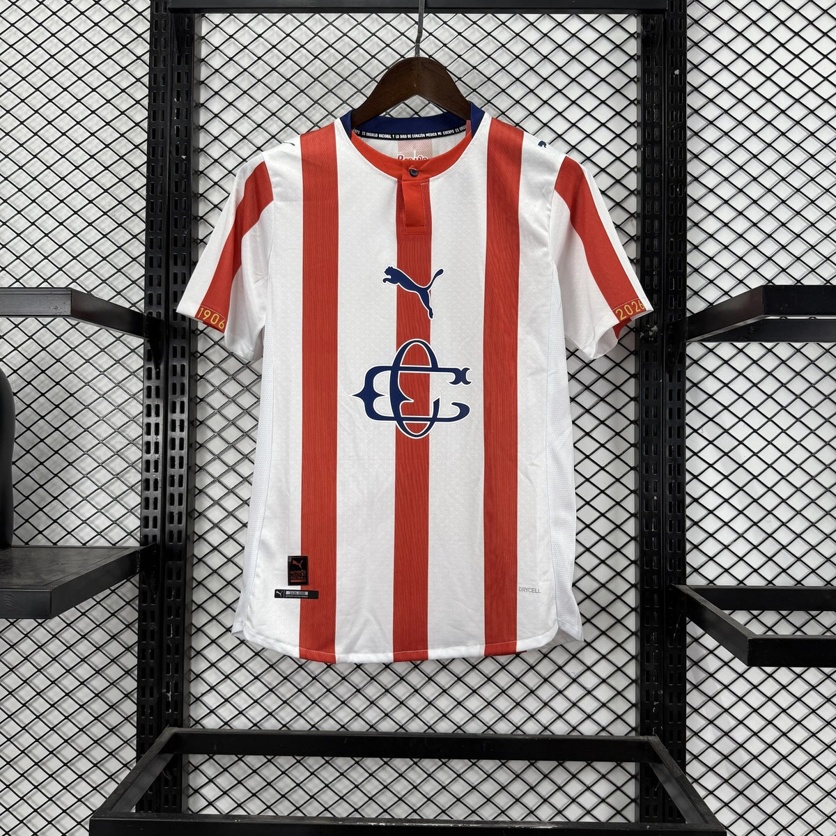 Jersey Chivas Guadalajara 2025-26 Edición Especial blanco, foto 4 de 13