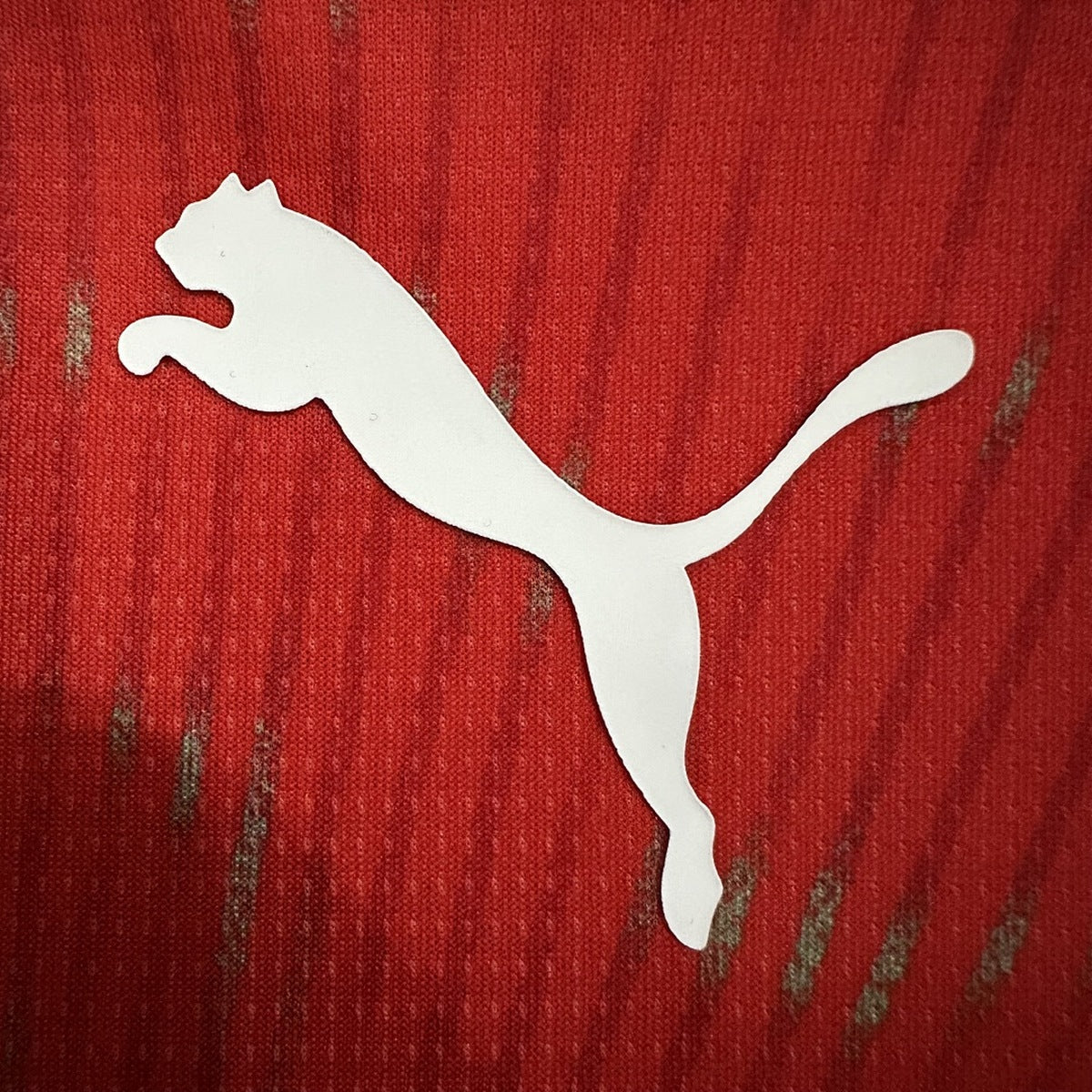 Jersey Suiza 2026 Local rojo, foto 6 de 9