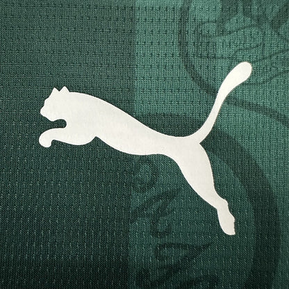 Jersey Plymouth Argyle 2025-26 Local verde, foto 5 de 7