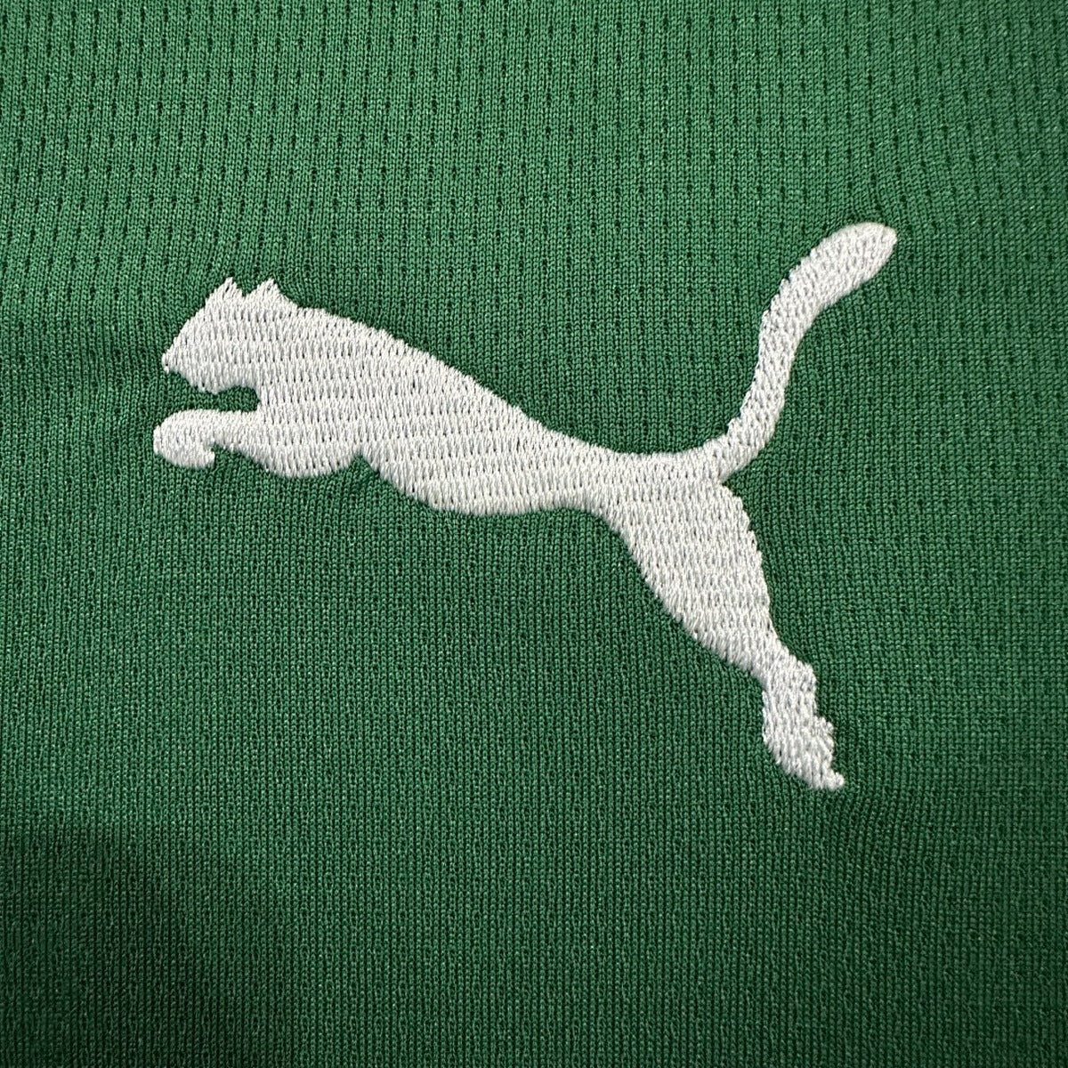 Jersey Palmeiras 2026-27 Local verde, foto 5 de 8