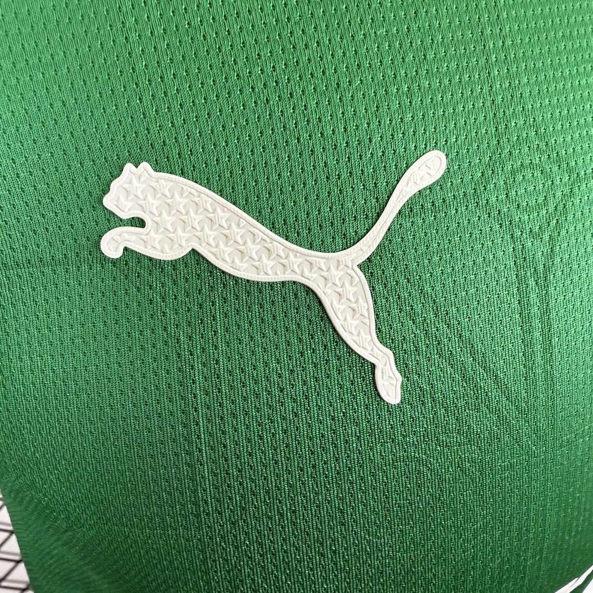 Jersey Palmeiras 2025-26 Local verde, foto 6 de 11