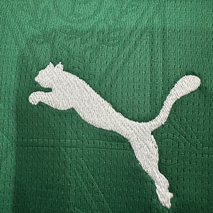 Jersey Palmeiras 2025-26 Local verde, foto 5 de 6