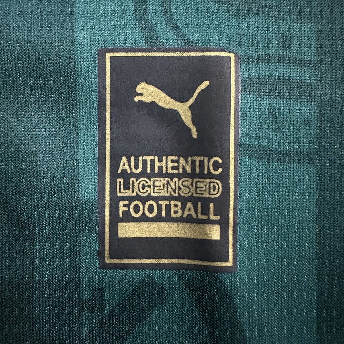 Jersey Plymouth Argyle 2025-26 Local verde, foto 6 de 7