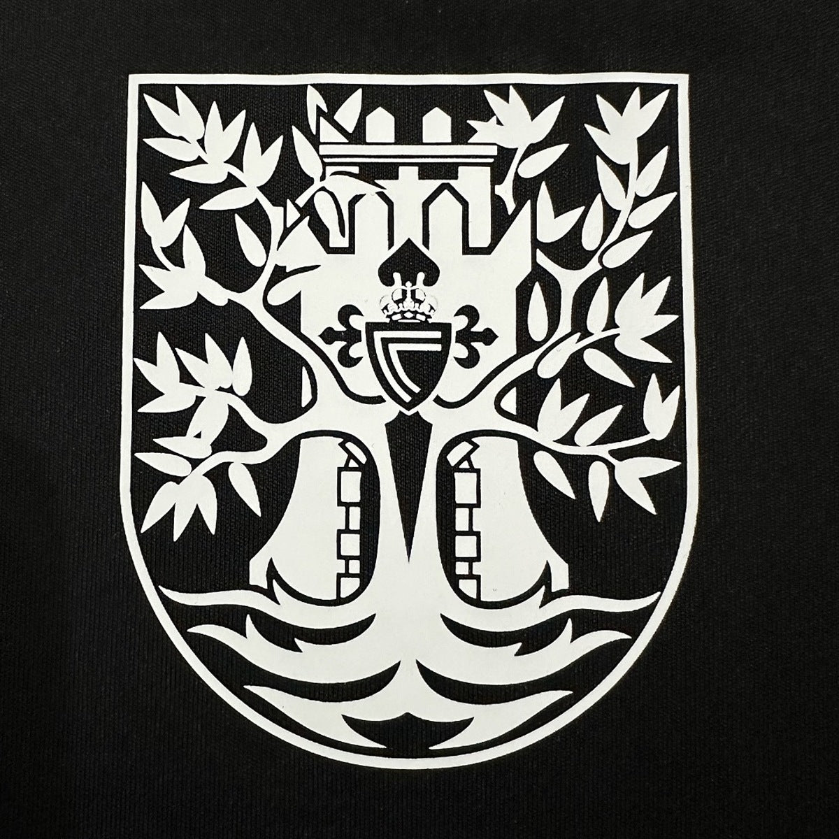 Jersey Celta de Vigo 2024-25 Edición Especial Reconquista negro, foto 7 de 11