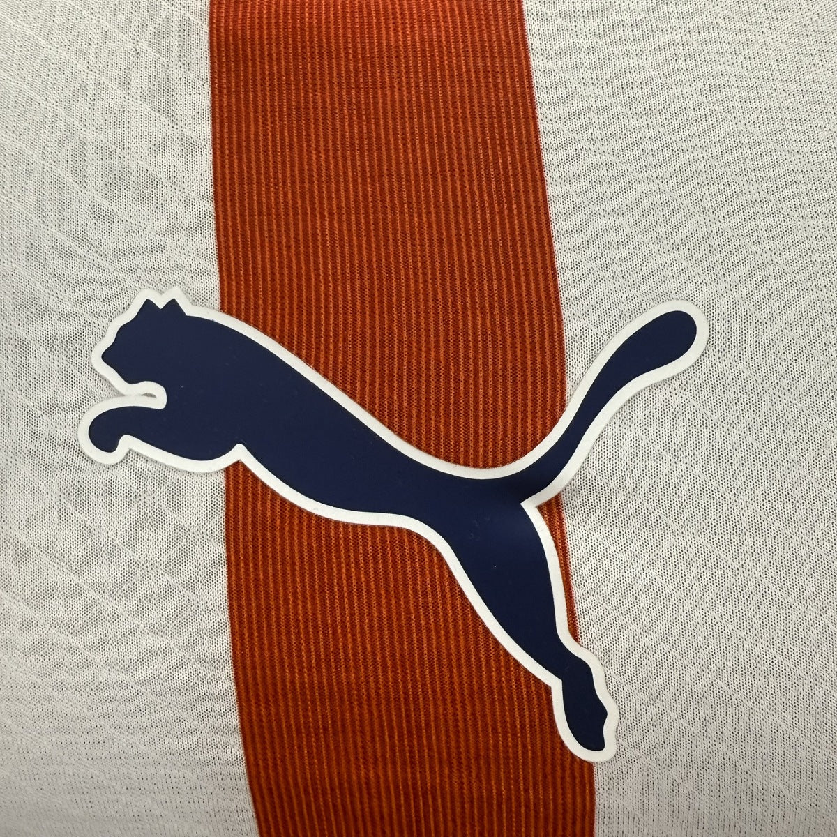 Jersey Chivas Guadalajara 2025-26 Edición Especial blanco, foto 9 de 13