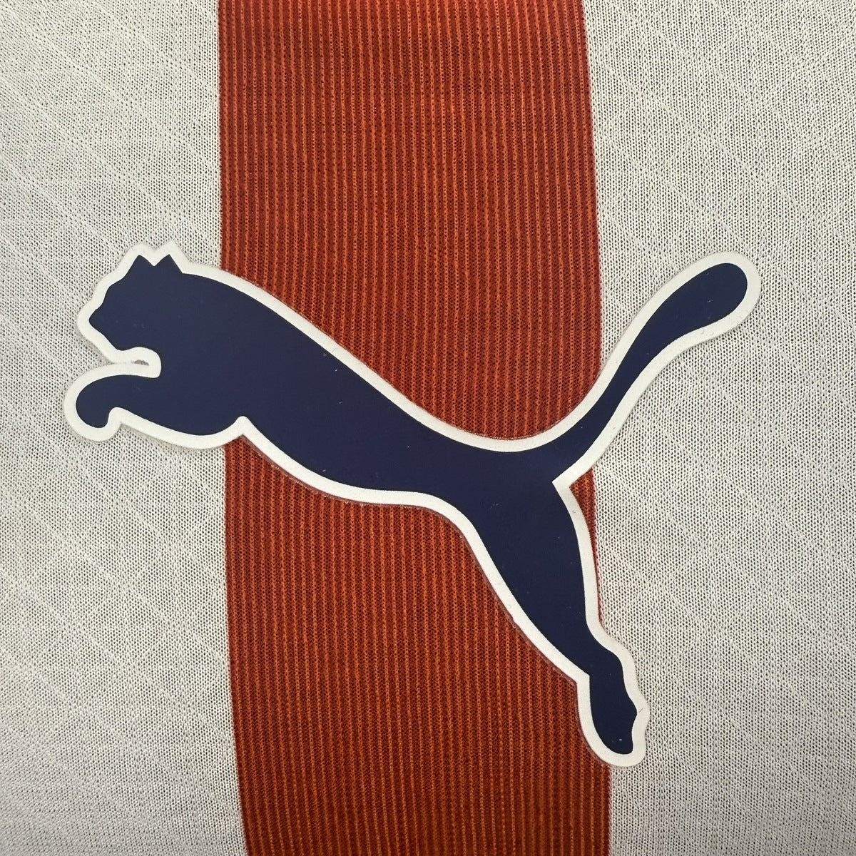 Jersey Chivas Guadalajara 2025-26 Edición Especial blanco, foto 9 de 13