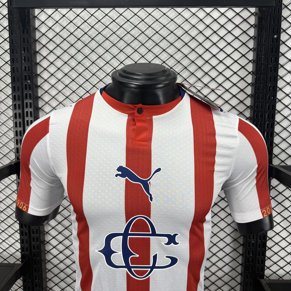 Jersey Chivas Guadalajara 2025-26 Edición Especial blanco, foto 12 de 13