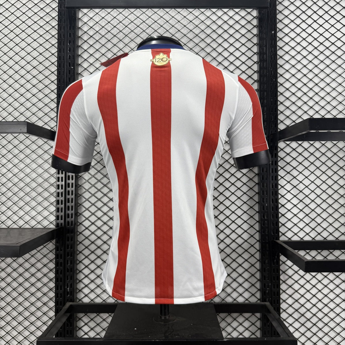 Jersey Chivas Guadalajara 2025-26 Edición Especial blanco, foto 13 de 13